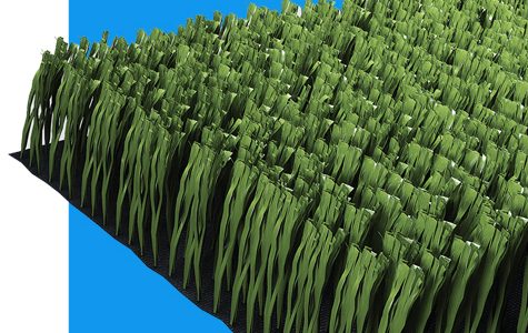 ECOGRASS ECOGRASS