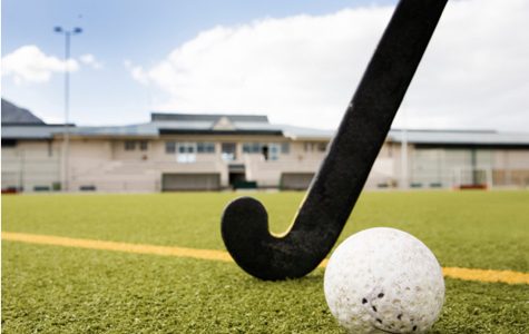 HOCKEY GRASS HOCKEY GRASS