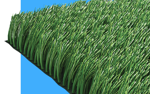 SPINEGRASS SPINEGRASS